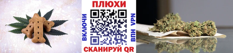 Canna-Cookies марихуана  где найти   блэк спрут зеркало  Магас 