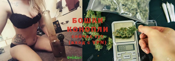 твердый Аркадак