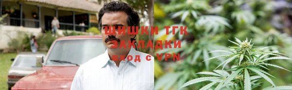 твердый Аркадак