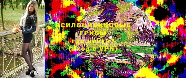 твердый Аркадак