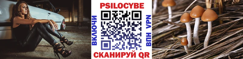 Псилоцибиновые грибы Psilocybine cubensis  Магас 