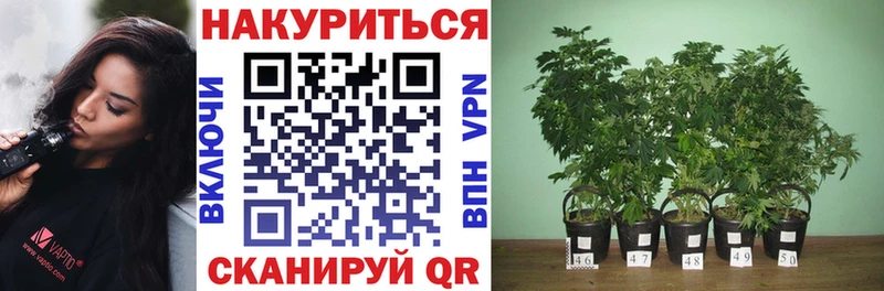 МАРИХУАНА Ganja  Магас 